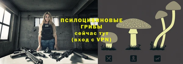 кокс Алексеевка