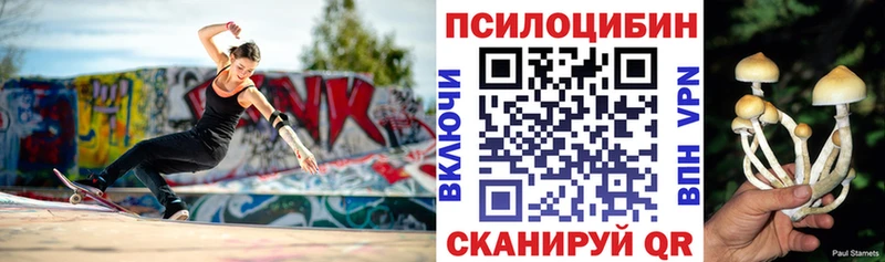 Галлюциногенные грибы Cubensis  Десногорск 